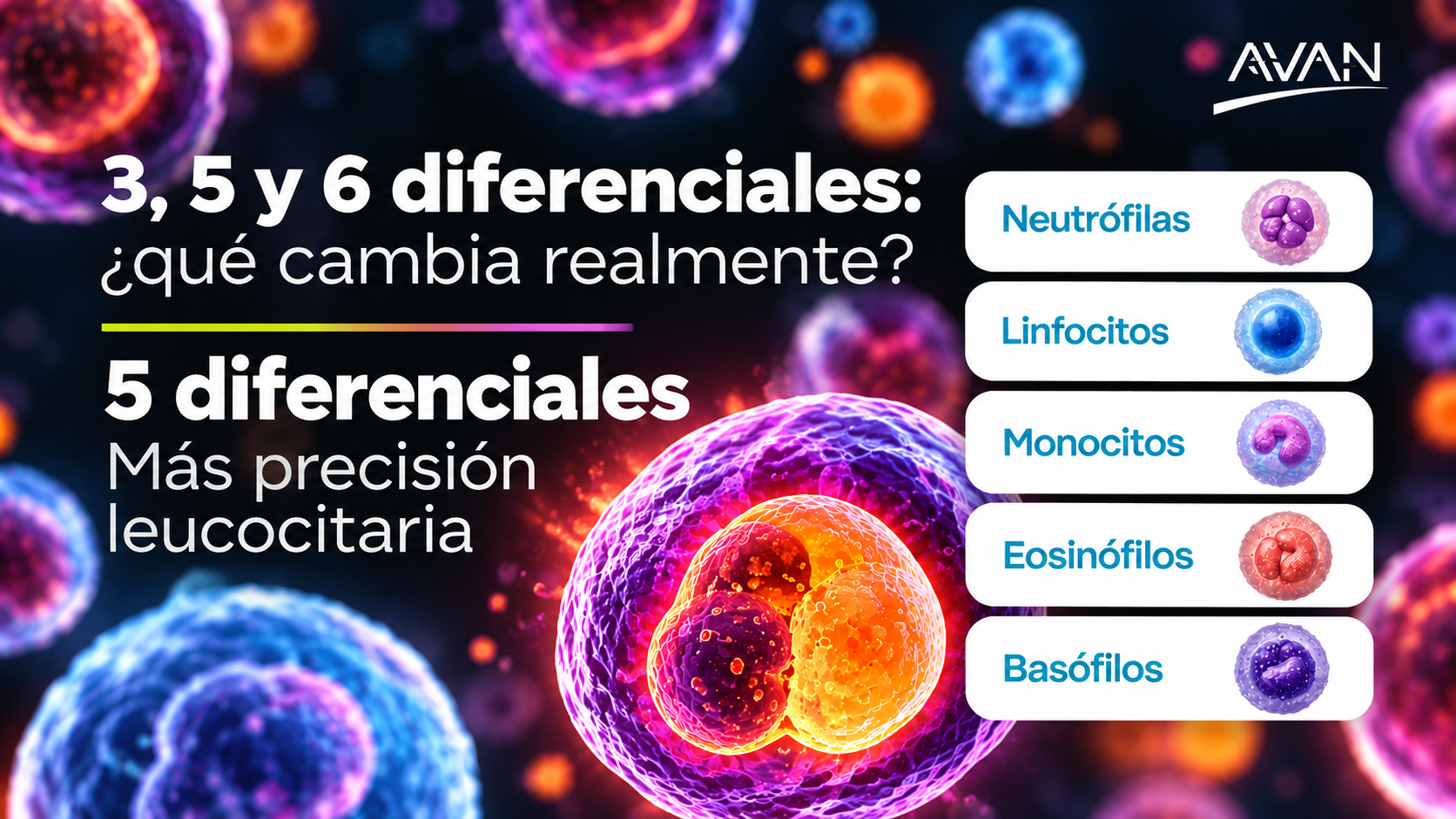 Analizadores hematológicos: 3, 5 y 6 diferenciales | AVAN